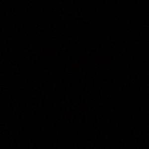 Meet your Posher, Logan